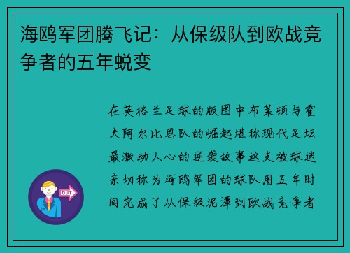 海鸥军团腾飞记：从保级队到欧战竞争者的五年蜕变